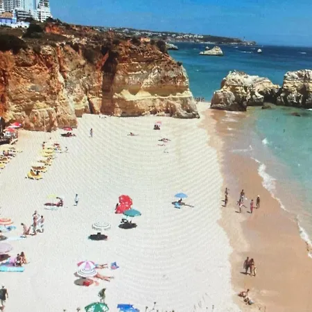 Sweet Tower 포티마오