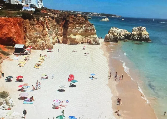 Sweet Tower 포티마오